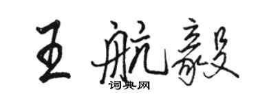 駱恆光王航毅行書個性簽名怎么寫