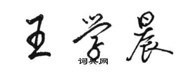 駱恆光王學晨行書個性簽名怎么寫