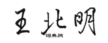 駱恆光王北明行書個性簽名怎么寫