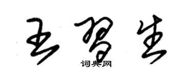 朱錫榮王習生草書個性簽名怎么寫