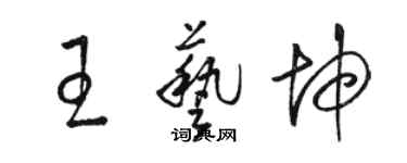 駱恆光王藝坤草書個性簽名怎么寫