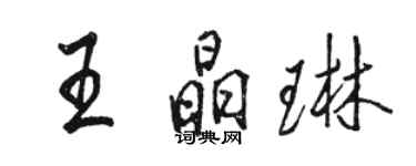 駱恆光王晶琳行書個性簽名怎么寫