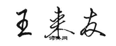 駱恆光王來友行書個性簽名怎么寫