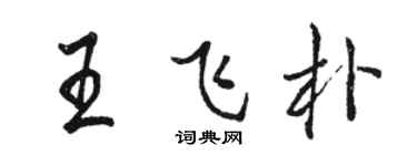 駱恆光王飛朴行書個性簽名怎么寫