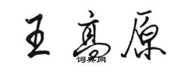 駱恆光王高原行書個性簽名怎么寫