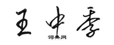 駱恆光王中季行書個性簽名怎么寫