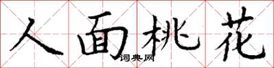 丁謙人面桃花楷書怎么寫