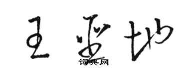 駱恆光王聖地草書個性簽名怎么寫