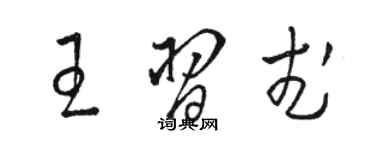 駱恆光王習武草書個性簽名怎么寫