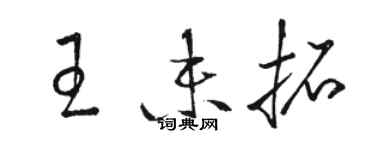 駱恆光王未拓草書個性簽名怎么寫