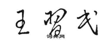 駱恆光王習民草書個性簽名怎么寫