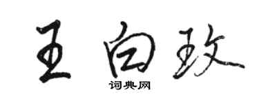 駱恆光王白玫行書個性簽名怎么寫