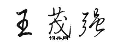 駱恆光王茂強行書個性簽名怎么寫