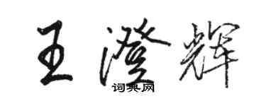 駱恆光王澄輝行書個性簽名怎么寫