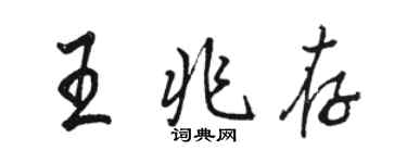 駱恆光王兆存行書個性簽名怎么寫