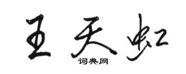 駱恆光王天虹行書個性簽名怎么寫