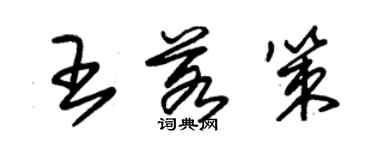朱錫榮王若策草書個性簽名怎么寫