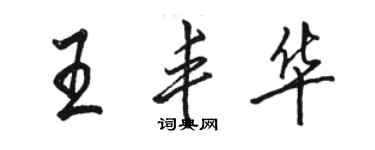 駱恆光王豐華行書個性簽名怎么寫