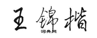 駱恆光王錦楷行書個性簽名怎么寫