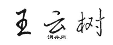 駱恆光王雲樹行書個性簽名怎么寫
