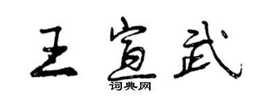 曾慶福王宣武行書個性簽名怎么寫