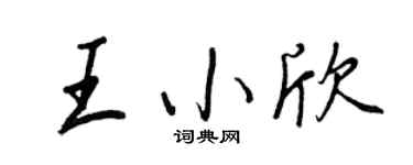 王正良王小欣行書個性簽名怎么寫