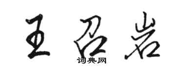 駱恆光王召岩行書個性簽名怎么寫