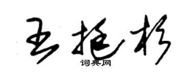 朱錫榮王挺杉草書個性簽名怎么寫