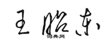 駱恆光王昭東草書個性簽名怎么寫