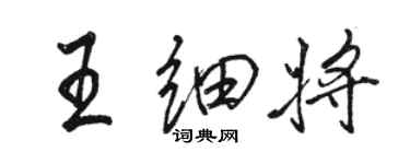 駱恆光王細將行書個性簽名怎么寫