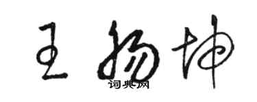 駱恆光王腸坤草書個性簽名怎么寫