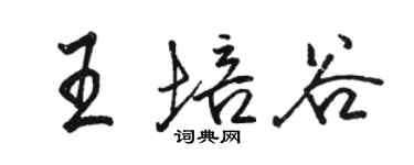 駱恆光王培谷行書個性簽名怎么寫