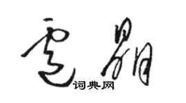 駱恆光盧晶草書個性簽名怎么寫