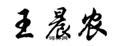 胡問遂王晨農行書個性簽名怎么寫