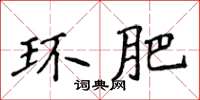 侯登峰環肥楷書怎么寫