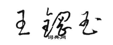 駱恆光王鋼玉草書個性簽名怎么寫