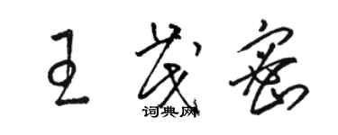 駱恆光王茂密草書個性簽名怎么寫