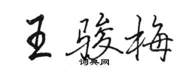 駱恆光王駿梅行書個性簽名怎么寫