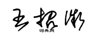 朱錫榮王招微草書個性簽名怎么寫