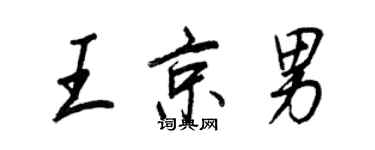 王正良王京男行書個性簽名怎么寫