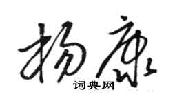 駱恆光楊康草書個性簽名怎么寫