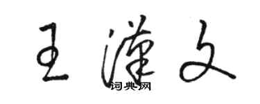 駱恆光王漢文草書個性簽名怎么寫