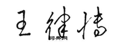 駱恆光王律博草書個性簽名怎么寫