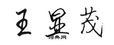 駱恆光王顯茂行書個性簽名怎么寫