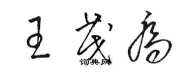 駱恆光王茂喬草書個性簽名怎么寫