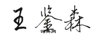 駱恆光王鑑森行書個性簽名怎么寫