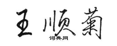 駱恆光王順菊行書個性簽名怎么寫