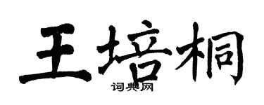 翁闓運王培桐楷書個性簽名怎么寫