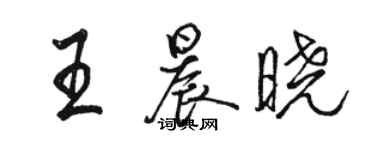 駱恆光王晨曉行書個性簽名怎么寫