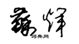 朱錫榮蘇輝草書個性簽名怎么寫